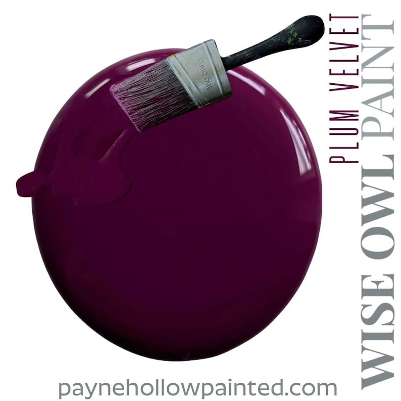 May include: A large, glossy sphere painted in a deep plum colour, with a paintbrush resting on top. The text "PLUM VELVET" and "WISE OWL PAINT" are displayed vertically on the right side. The website address paynehollowpainted.com is at the bottom.