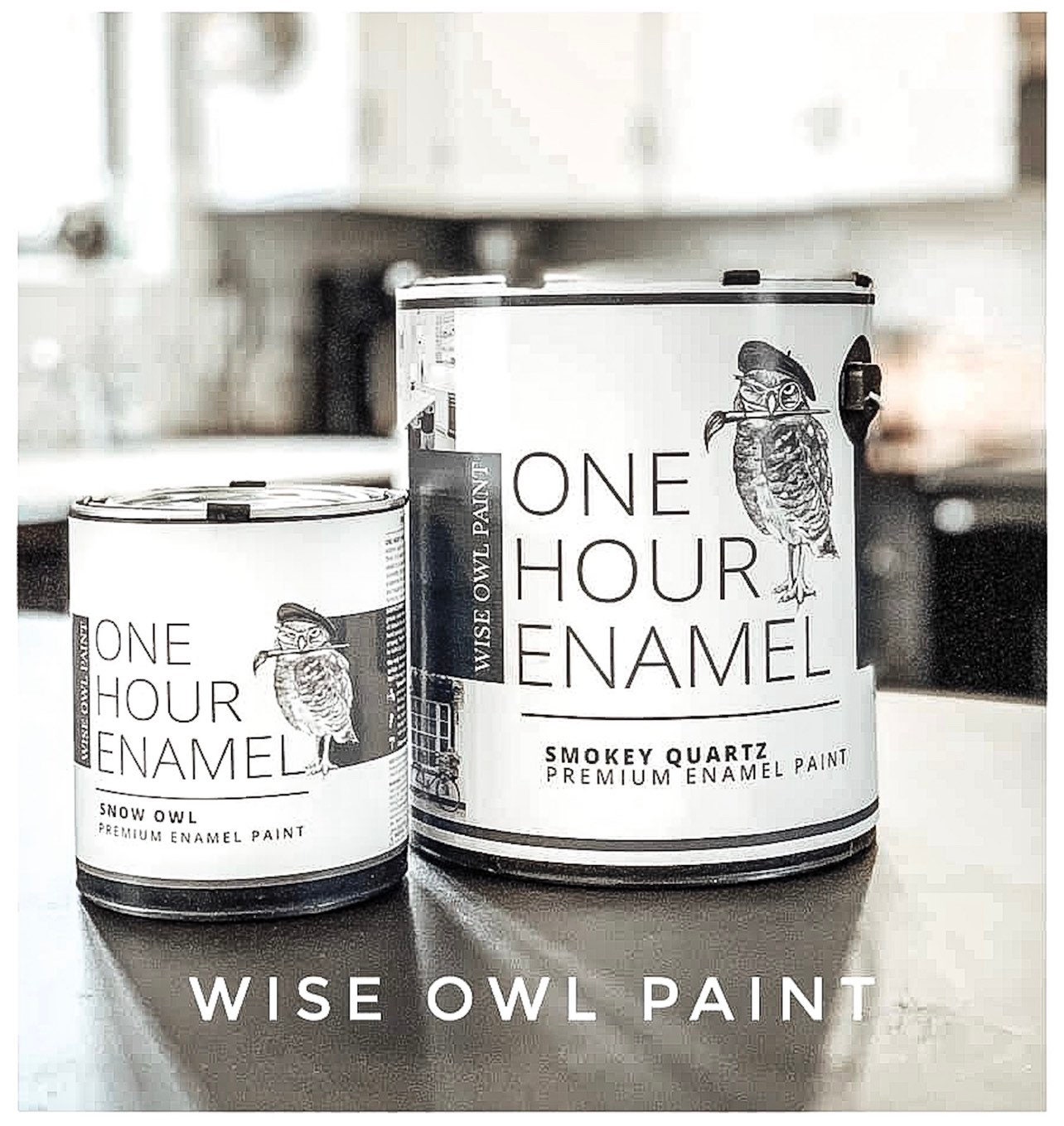 Wise Owl Paint on Instagram: Before and after by  @upcycledfurniturebyorianna 🖤 Hand painted with One Hour Enamel in Jet  Black and the finish is this perfect satin sheen.