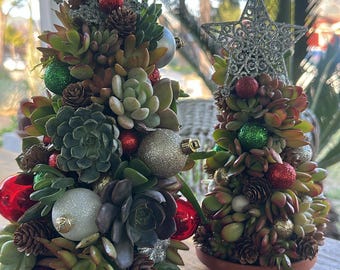 Succulent Medium Christmas Tree - Etsy