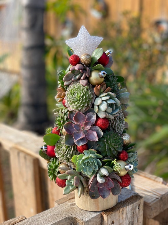 Succulent Medium Christmas Tree - Etsy