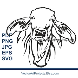 Brahman cow SVG & EPS vector graphic art - farm animal Cut File Clipart