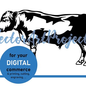 Black angus cattle commercial svg, Angus bull vector graphic art, angus clipart cut file cuttable cricut