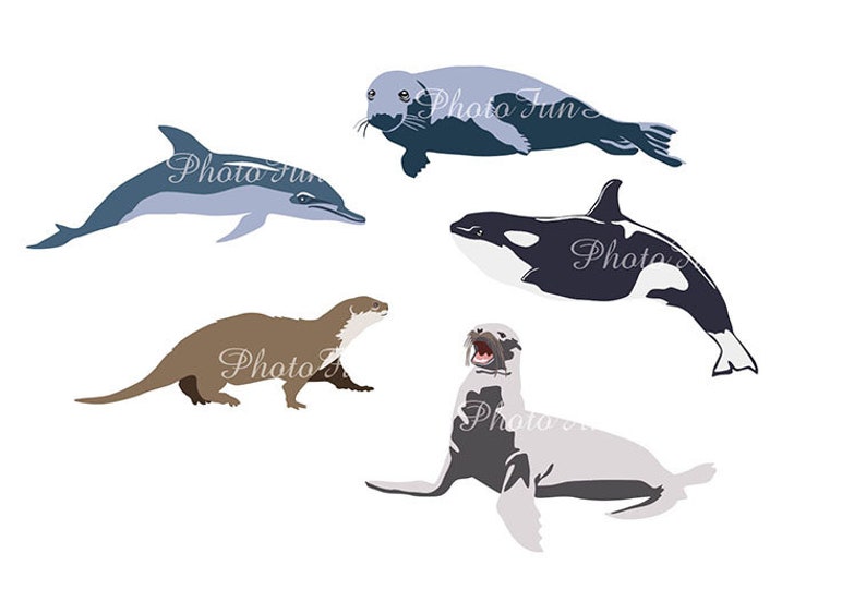 Download Sea Animal Svg Clipart Dolphin Design Otter Orca Killer Whale Printable Seal Vector Graphic Sea Lion Instant Download Animal Commercial Use Clip Art Art Collectibles Efp Osteology Org