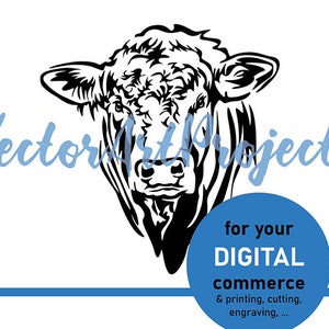 Charolês touro svg rosto retrato arte de uso comercial, gado Charolês clipart arquivo cortado cortável design de logotipo cricut