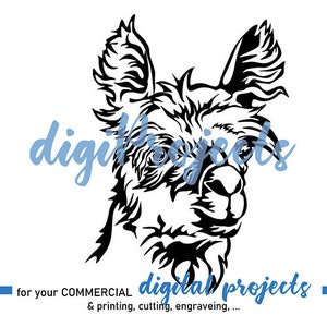 Alpaca svg vector portrait graphic art, Alpaca head clipart cut file for digital logo 's, Alpaca design cricut cuttable