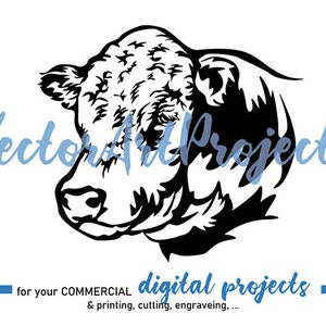 Hereford cattle svg bull commercial digital art, hereford bull clipart, farm animal vector graphic hereford cuttable cricut cut file design
