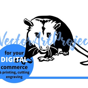 Zarigüeya svg clip art zarigüeya animal salvaje vector gráfico diseño digital