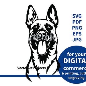 Belgischer Malinois svg, Hundekopf Vektorgrafik, Malinois schneidbare Cricut-Datei, digitales Design