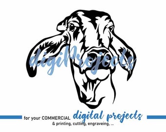 Brahman cow head svg portrait Cattle vector graphic art, Farm animal svg, Brahman cow cut file cuttable cricut digital design clipart
