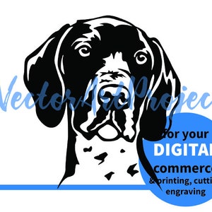 Deutsch Kurzhaar-Spitze-Svg Clip Art schneidbares Design, Hund Vektorgrafik-Schnittdatei