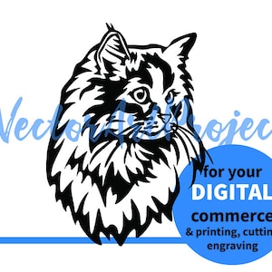 Sibirische Katze svg Clip Art schneidbare Porträt, Sibirische Katzengesicht Vektorgrafik-Datei