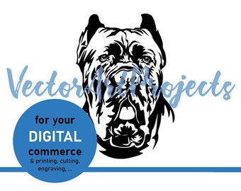 Cane Corso dog svg for digital commercial projects, Cane corso vector graphic portrait dog head cut file cuttable cricut digital