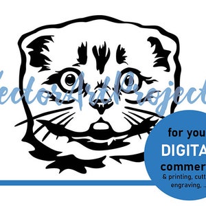 Scottish Fold cat face svg, vector graphic art Scottish Fold clip art cut file digital design, cat cuttable cricut