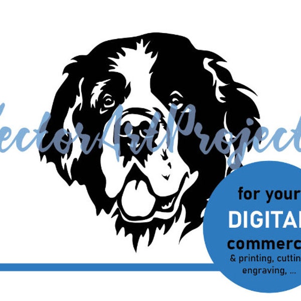 Saint Bernard svg face clip art, st. bernard vector graphic art, cut file cricut digital design