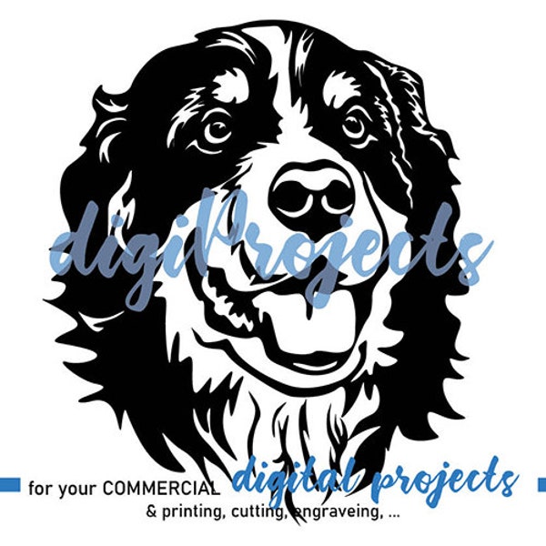 Bernese mountain dog svg Vector Cut dog breed Pedigree Purebred Canine, Artwork dog logo design