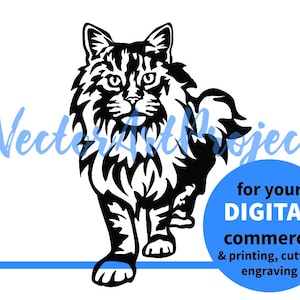 Image clipart chat Maine Coon svg, numérique à usage commercial, Maine Coon coupe fichier vectoriel cricut découper