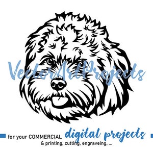 Cavapoo svg vector graphic art, Cavadoodle svg clipart, Cavoodle svg cut file cuttable cricut digital design