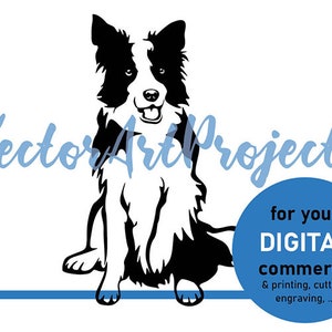 Sitting dog svg Border Collie vector graphic art clip art, border collie cuttable cricut cut file, digital design