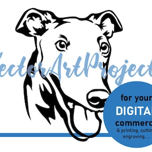 Levriero SVG viso grafica vettoriale, design digitale tagliabile testa di cane sorridente, levriero cricut