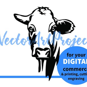 Beefmaster Cow Svg Clip Art Illustration, Cattle Farm Animal Vector ...