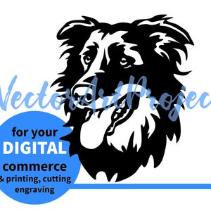 English Shepherd svg clip art, English Shepherd svg png vector graphic art cuttable