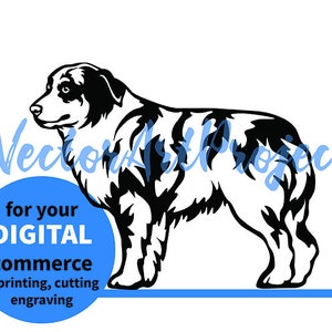 Merle Aussie svg clip art, Australian Shepherd cut file vector art cricut design
