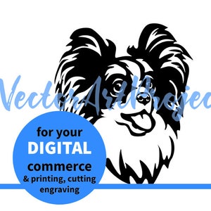 Papillon perro cara svg clip art icono ilustración, arte gráfico vectorial papillon, archivo cortado diseño digital papillon cortable