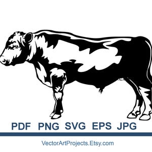 Bovins Black Angus SVG, EPS, PNG - Illustration vectorielle d'animaux de ferme (fichier de découpe)
