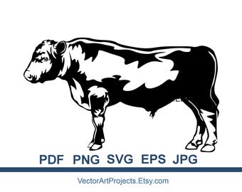 Black angus cattle SVG, EPS, PNG - Farm animal vector graphic cut file art
