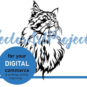 Süße Maine Coon Katze Clipart Design Schnittdatei, Maine Coon svg Vektorgrafik Kunstwerk digital