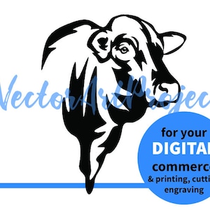 Ilustração de touro svg de Santa Gertrudis, clipart de gado gráfico vetorial de Santa Gertrudis, design cortável de animais de fazenda, arquivo de corte digital de gado