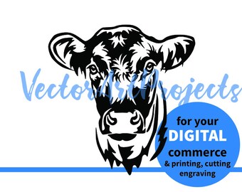 Shorthorn cattle cow svg vector graphic portrait, Shorthorn beef cattle cuttable digital clip art design