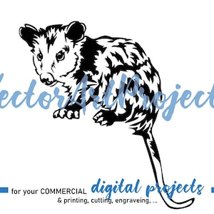 Archivo de corte gráfico vectorial Opossum svg, imágenes prediseñadas svg comerciales de animales salvajes, diseño digital cortable cricut de zarigüeya