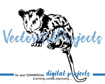 Opossum svg vector graphic cut file, wild animal commercial svg clipart, possum cricut cuttable digital design