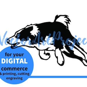 Running Border Collie dog svg vector graphic clip art icon, Border Collie cuttable digital design