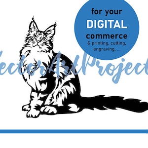 Portrait de chat Maine coon svg coupe fichier, utilisation numérique commerciale de chat Maine coon, maine coon clipart coupe cricut design