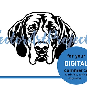 Coonhound dog svg vector graphic art, Hunting dog breed art, coonhound face cliaprt cut file cricut, coonhound png digital