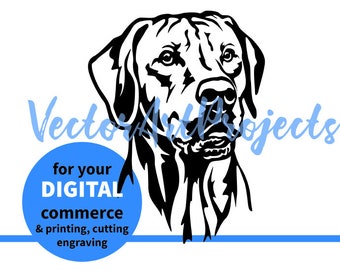 Rhodesian Ridgeback SVG, Hunde-Gesicht-Clipart PNG, Haustierporträt Vektor, Cricut-Schnittdatei