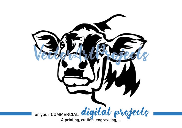 Jersey Cow Svg Portrait Face Cow Head Vector Art Jersey Cow Etsy Finland