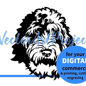 Aussiepoo svg & png Vektorgrafik, Aussiedoodle Hundegesicht schneidbar, digitales Design
