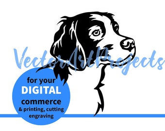 Brittany Spaniel clip art dog face design, Brittany svg png cuttable vector artwork cricut