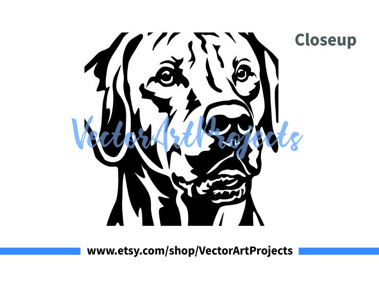 Avatar For Ridgeback Rhodesian Ridgeback Face Svg & Png Vector Art Digital Portrait ...