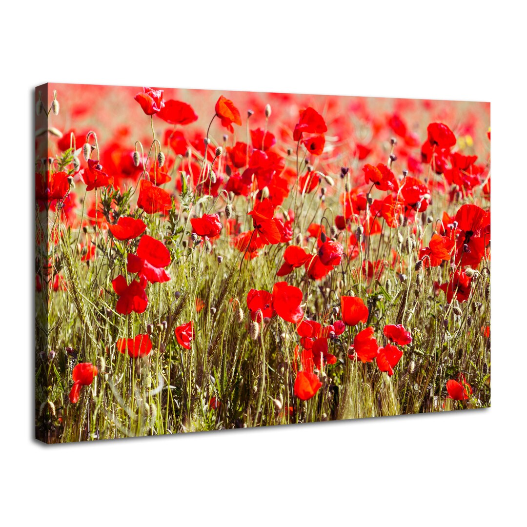Red Poppies Flower Canvas Wall Art Poppy Flowers Field Prints Pictures ...