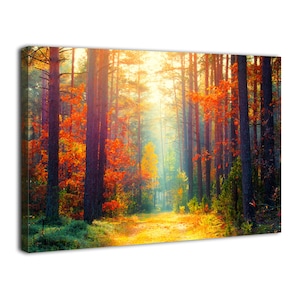 Autumn Forest Wall Art Colorful Forest Scenery Wall Decor Sunny Fall Landscape Canvas Prints Pictures for Living Room Home Decor