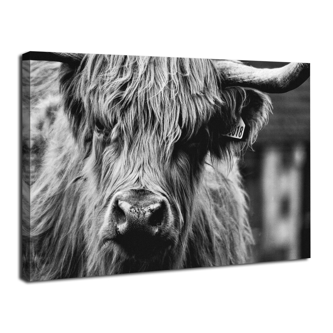 Black and White Highland Cow Canvas Wall Art Farmhouse Wall Decor