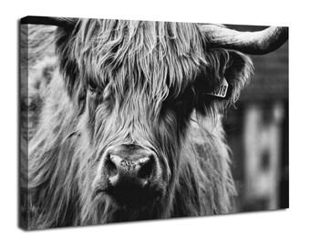 Black and White Highland Cow Canvas Wall Art Farmhouse Wall Decor Rustic Animals Painting Scottish Cow Poster Living Room Decor