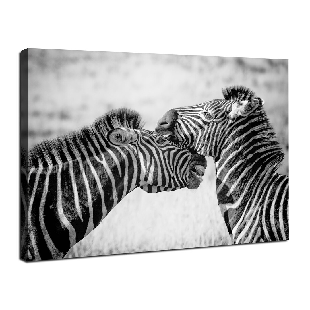 Zebras Canvas Wall Art African Wildlife Photography Wall Decor Black ...