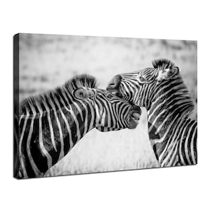 Zebras Canvas Wall Art African Wildlife Photography Wall Decor Black & White Striped Horses Poster Animal Artwork for Living Room Home Decor