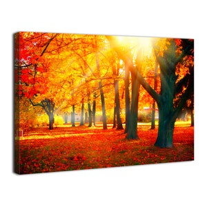 Fall Forest Canvas Wall Art Sunny Forest Wall Decor Autumn Nature Park Landscape Pictures Sunlight Through Red Leaves Forest Prints