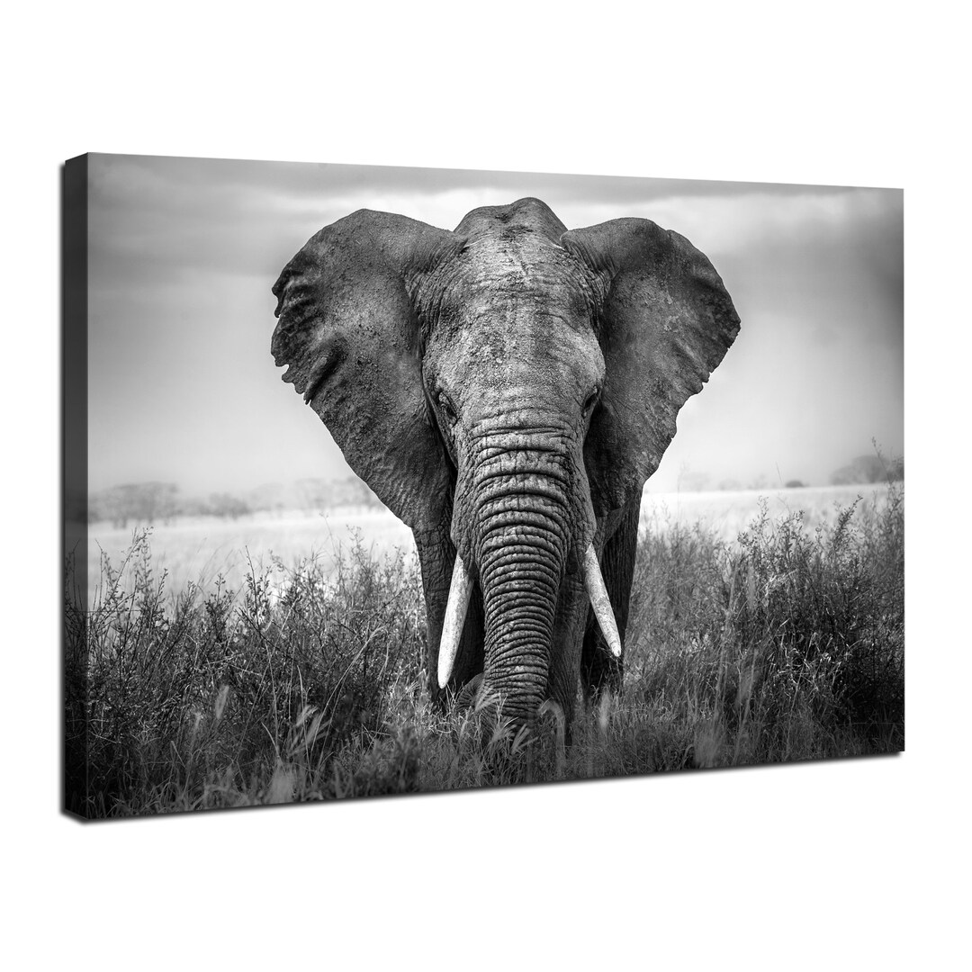 Elephant Canvas Wall Art Black and White African Elephant Prints Pictures Large African Animal